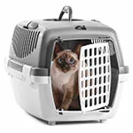Petsmart BD